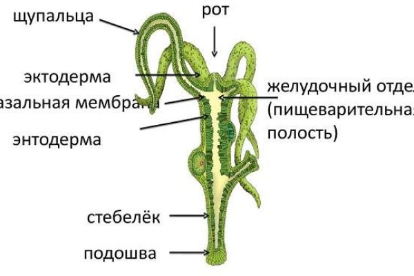 2fa аутентификация blacksprut